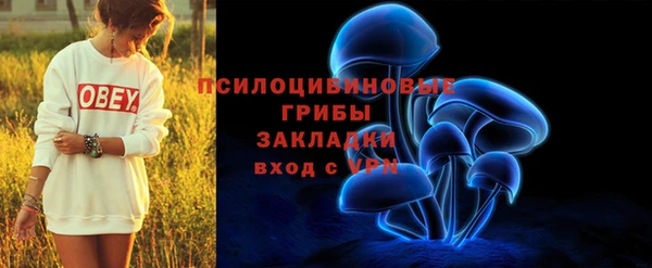 спайс Баксан