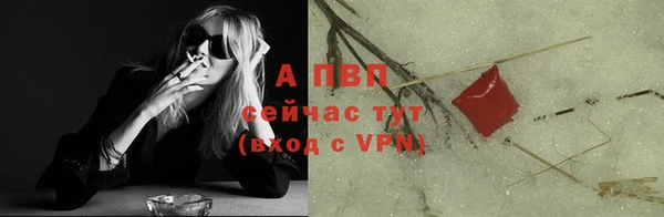 спайс Баксан