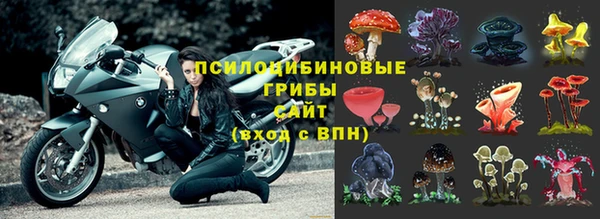 шишки Балабаново