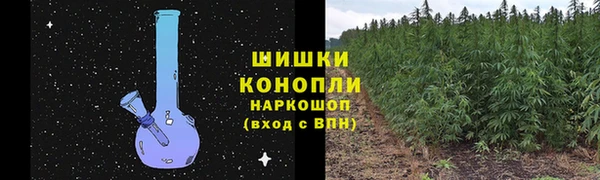 спайс Баксан