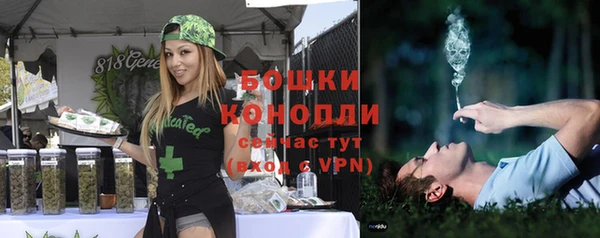 шишки Балабаново